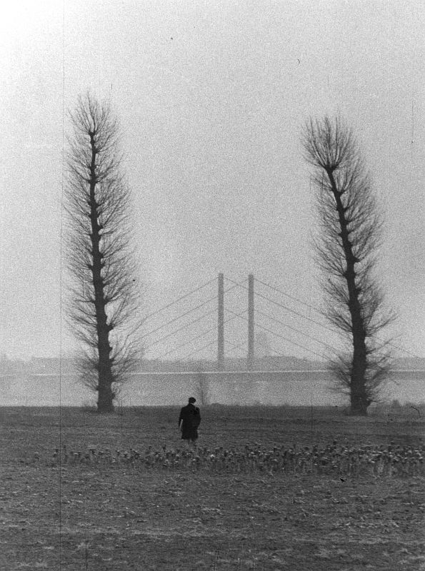 Düsseldorf, Oberkassler Rheinwiesen, 1960